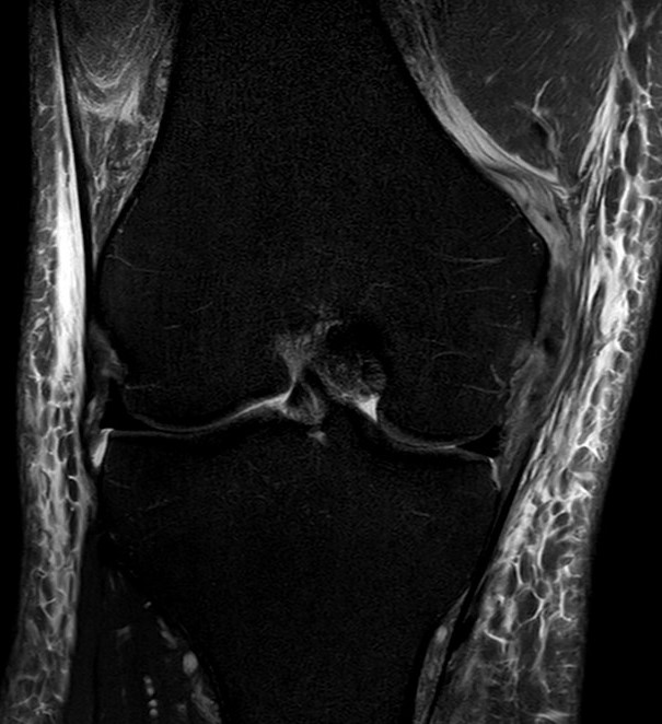 Praxis für Orthopädie und Unfallchirurgie Bielefeld