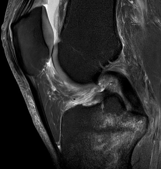 Praxis für Orthopädie und Unfallchirurgie Bielefeld